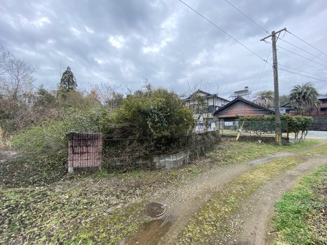 外観：343000087093