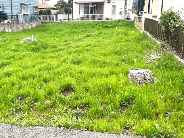 外観：312001161476