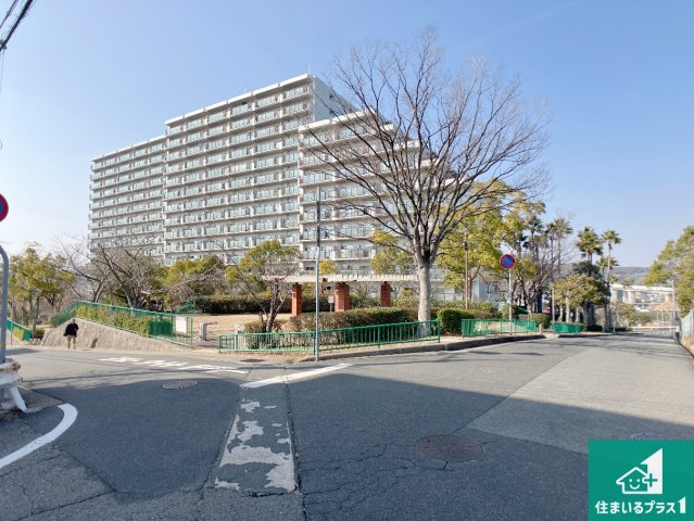 周辺は閑静な住宅街！前面道路広々で車の出し入れも便利です。駐車が苦手な方でも安心して車庫入れできます！