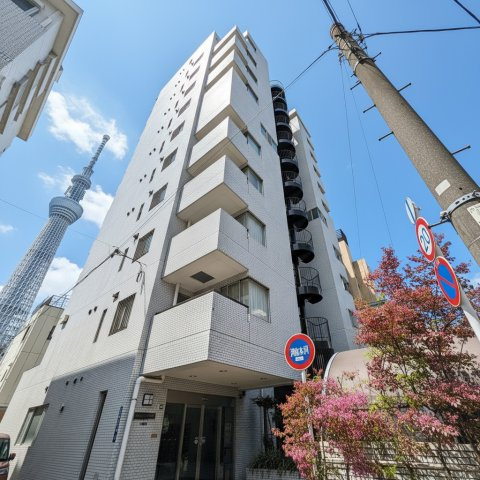 外観：313004700733