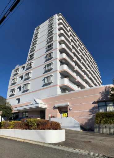 外観：325000121415