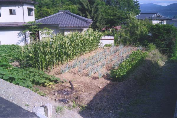 外観：320000026914