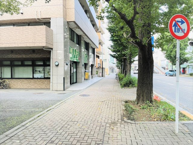 ～街路樹のイチョウが四季折々の景観を楽しませてくれます～