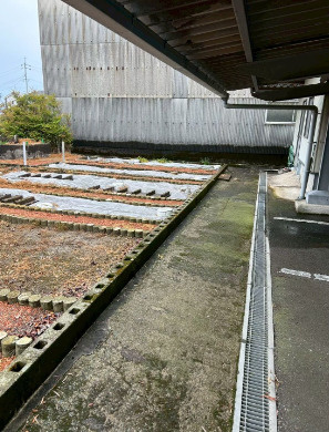 庭