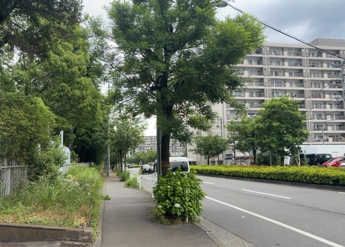 眺望を気にして物件を探す場合、前面に建物が建っていないか現地で確認しましょう！前面に建物があると景色はもちろん、日当たりや風通しにも影響が出てきます。住んだ時のことを想像しながら現地見学をしましょう。