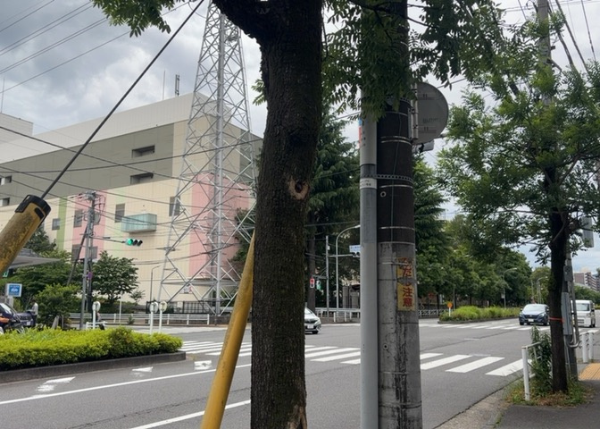 眺望の良さを楽しめるダイニングキッチンで家族団らんの時間を過ごしてはいかがでしょうか。バルコニーから見える景色を家族で眺める時間は、時間が経つのを忘れてしまいそうですね。是非、現地を見に行きましょう！