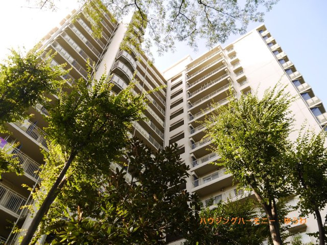 外観：313004686022