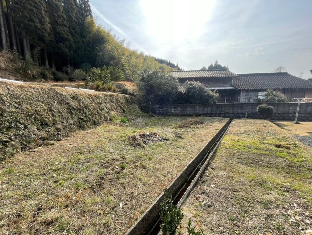 庭