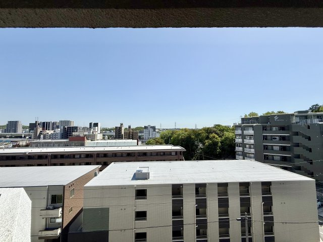 展望
