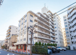 外観：313004538514