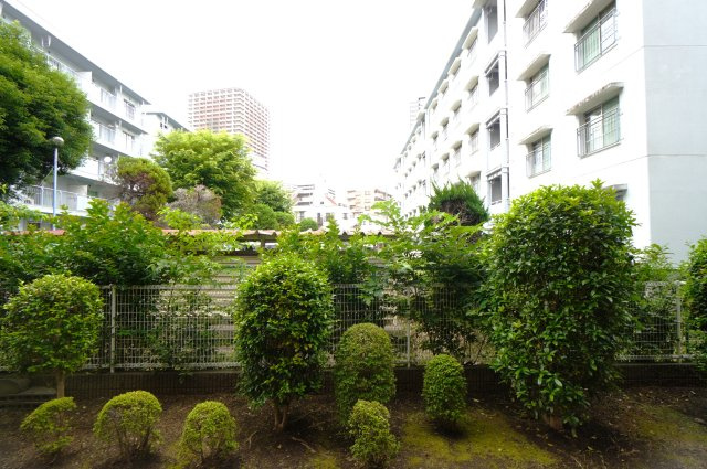 展望