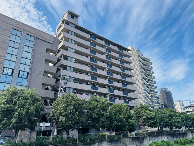 外観：313004439410