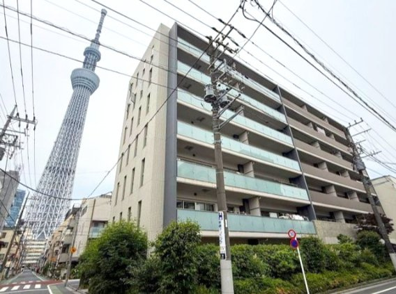 外観：313004606952