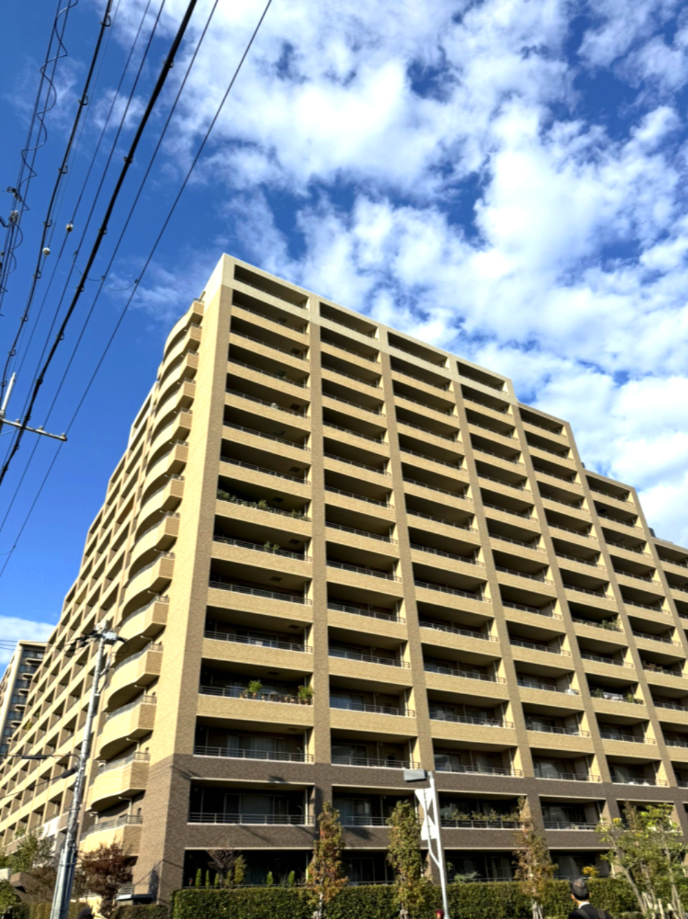 外観：328000621541