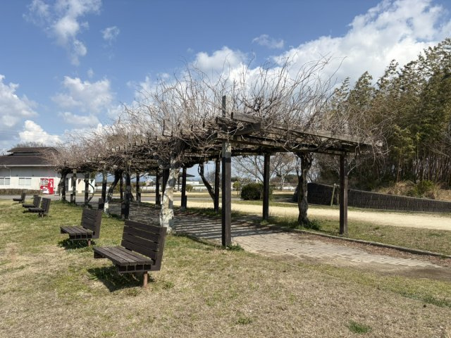 運動公園