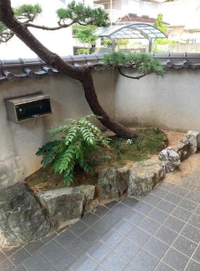 庭