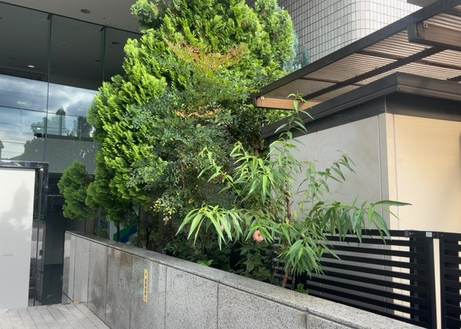 物件によっては、入居者が個人的に使用できる専用庭がついているものもあります。また、住宅の中にある土間の部分を庭と呼ぶこともあります。庭の用途は住む人によって変わり、それによってデザインもさまざまです。