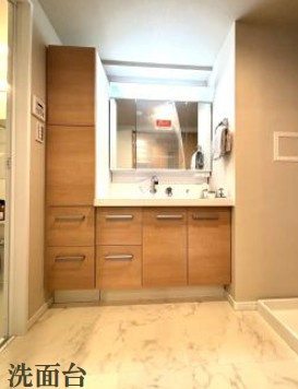 【 HP限定公開 藤和シティホームズ武蔵小金井駅前　7階の独立洗面台】