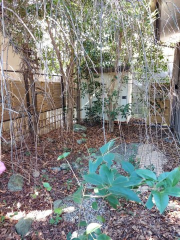 植物に囲まれた生活が送れます♪