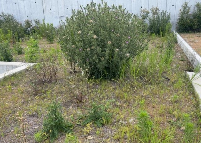 土地を買う際、住む地域の自治体や福祉の補助制度にも注目してみましょう。子供や老人の医療補助やゴミ出しのルールなど、自治体によってルールに大きな違いがあるため、暮らしやすい土地で判断するとよいでしょう。