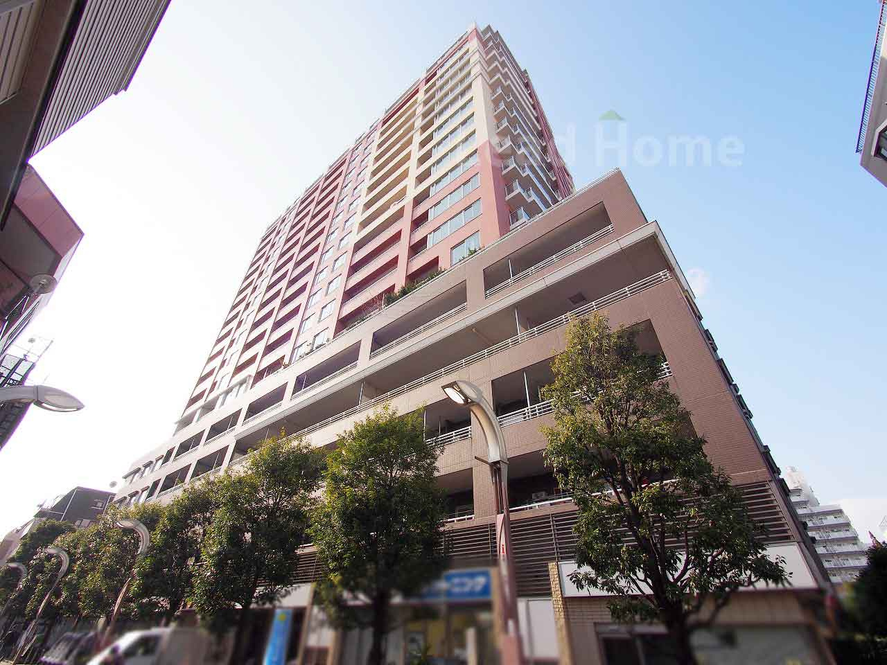 外観：313004712642