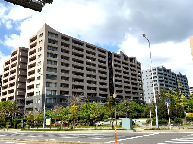 外観：312001245326