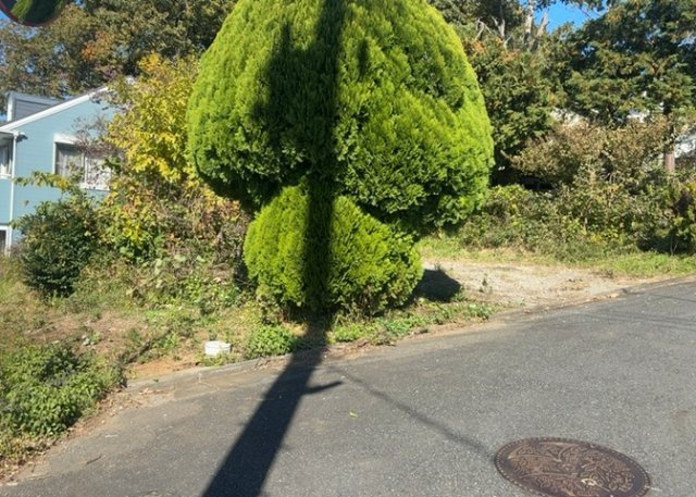 外観：313004497906