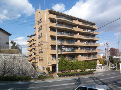 外観：325000109221