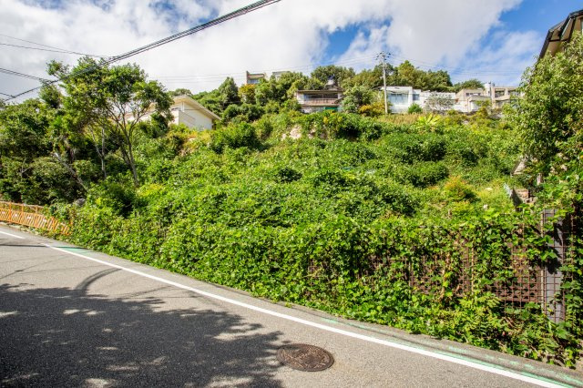 外観：328000621773