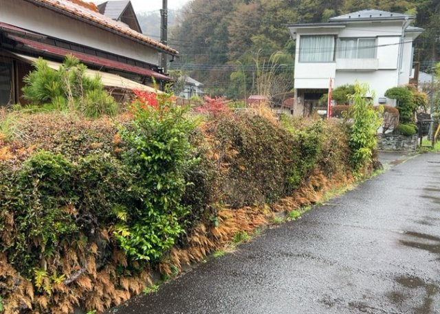 土地を買う際、住む地域の自治体や福祉の補助制度にも注目してみましょう。子供や老人の医療補助やゴミ出しのルールなど、自治体によってルールに大きな違いがあるため、暮らしやすい土地で判断するとよいでしょう。