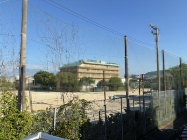 展望