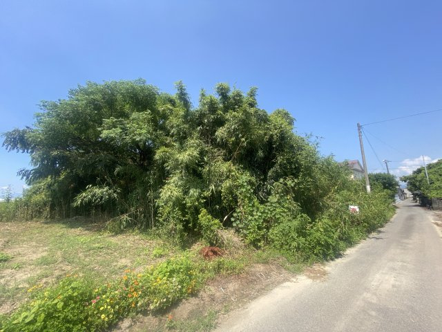 外観：343000087317