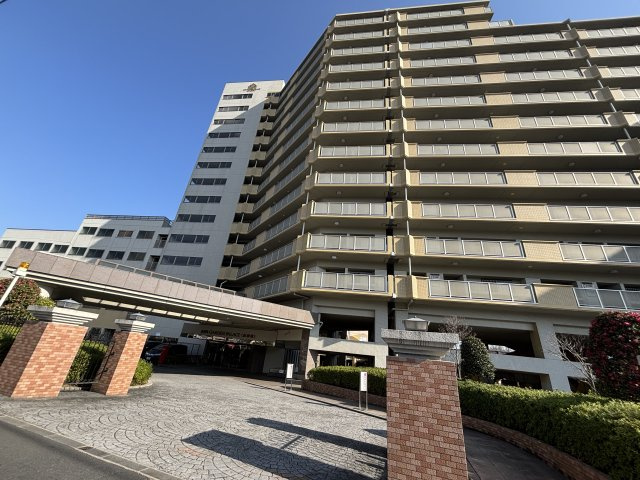 外観：313004629419