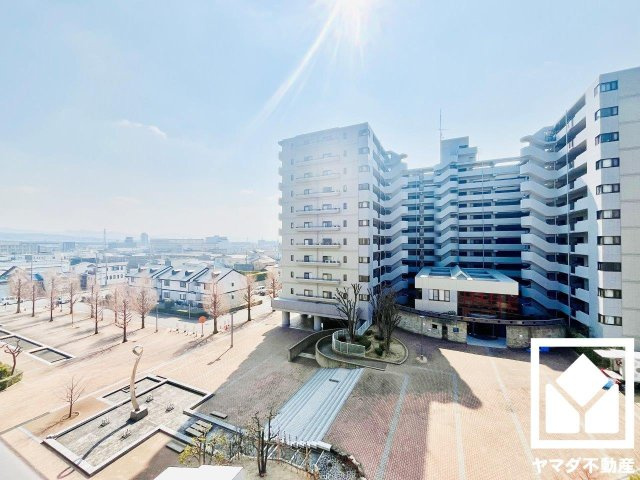 展望