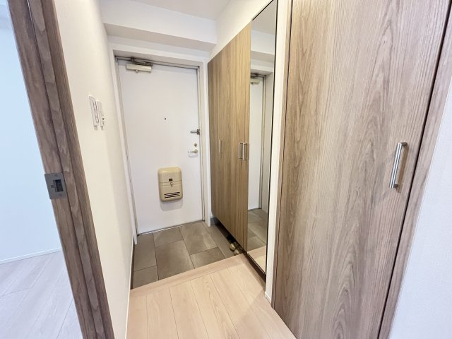 大容量の収納力と全身鏡も付いたシューズボックス