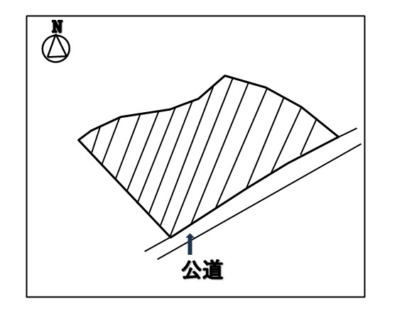 区画図：320000026938