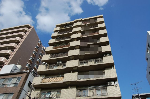 外観：334000237861