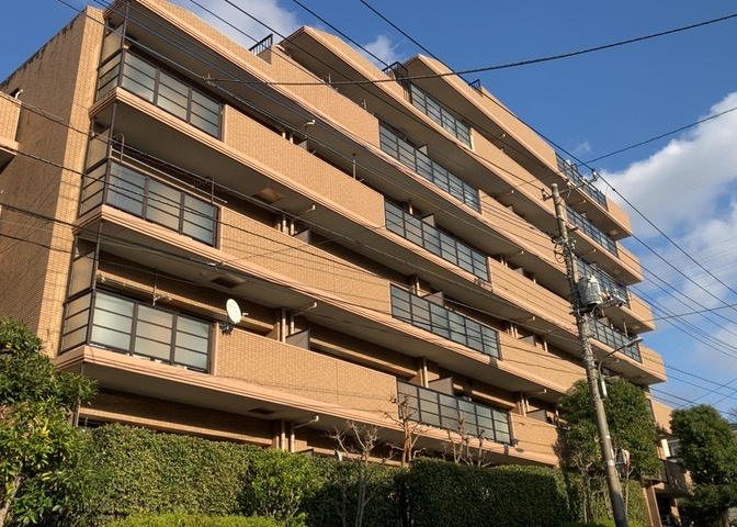 外観：313004650695