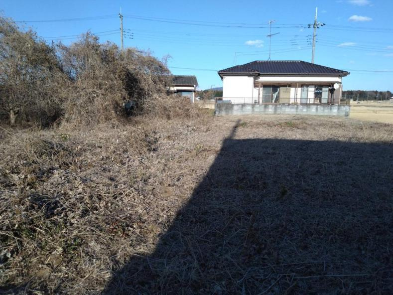 外観：308000152174