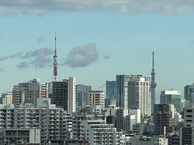 東京タワーとスカイツリーを望む眺望でございます。