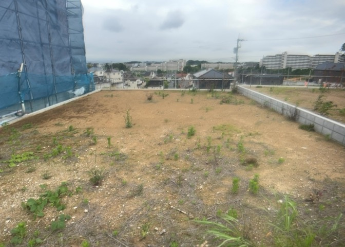 外観：313004736232
