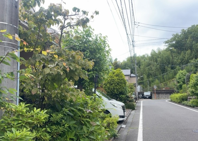 桜や紅葉の名所に出かける人は多いと思いますが、家にいながら季節の移ろいを感じる生活を送りませんか？リビングや窓から見える景色が生活を彩るワンポイントに！現地から見える景色を堪能してみては如何でしょう。