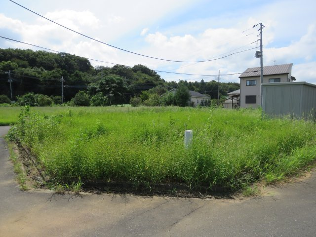 展望