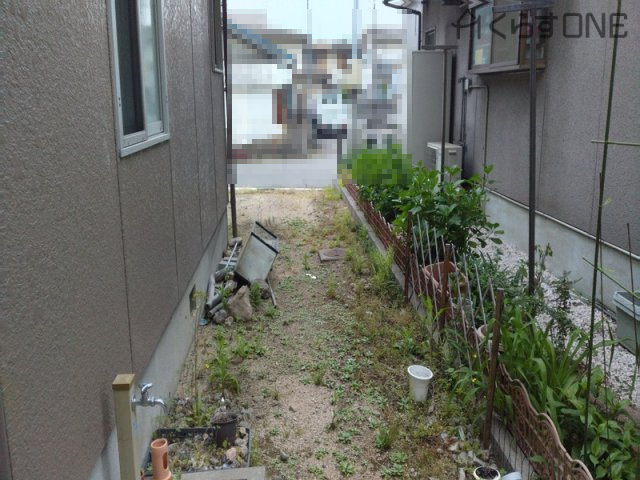 庭