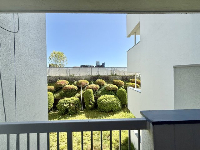 展望