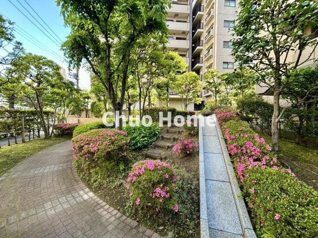敷地内には緑が多く住環境良好です