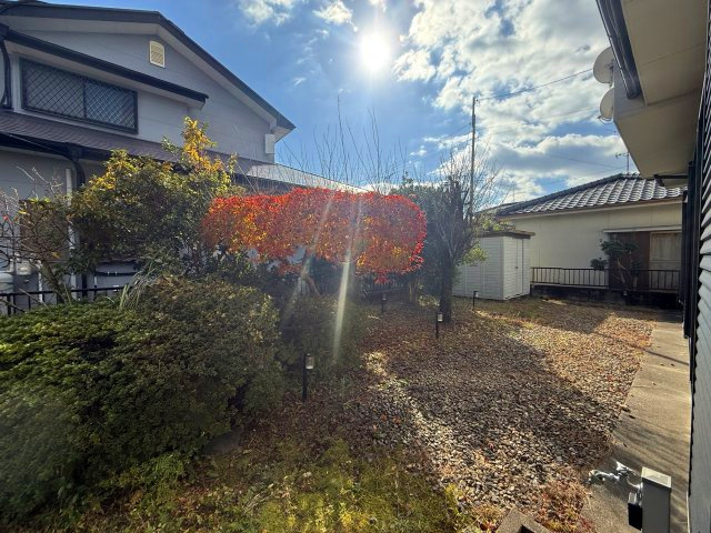 家の裏に庭があります。