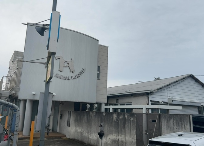 外観：314002708829