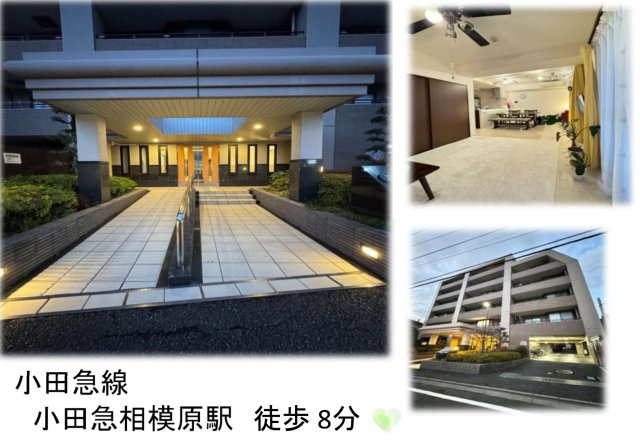 外観：314002691591