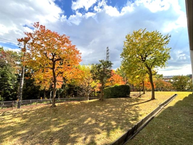 リビングの窓からは四季を感じることができます。秋は紅葉が美しいです。